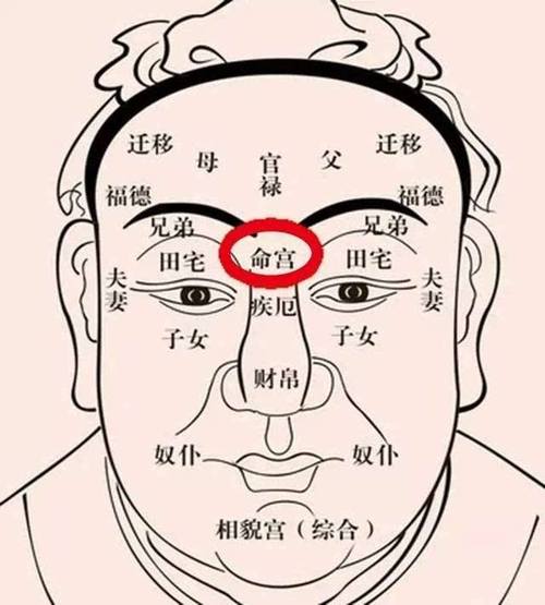 面相與掌相之金雞啄印堂,少年兩地走茫茫