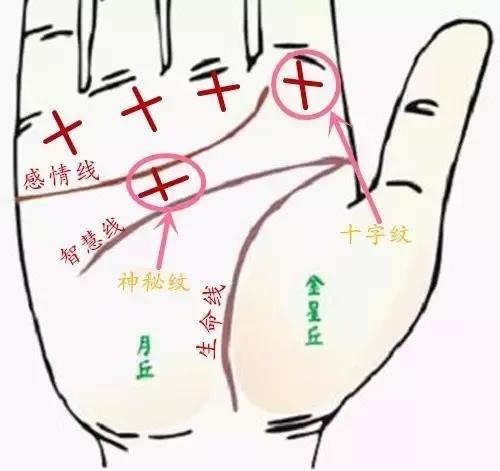 解析生命线末端有十字纹的具体含义