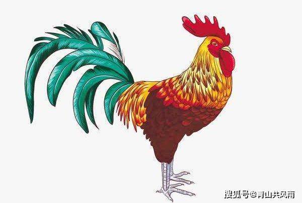 属鸡2022年6月健康运程
