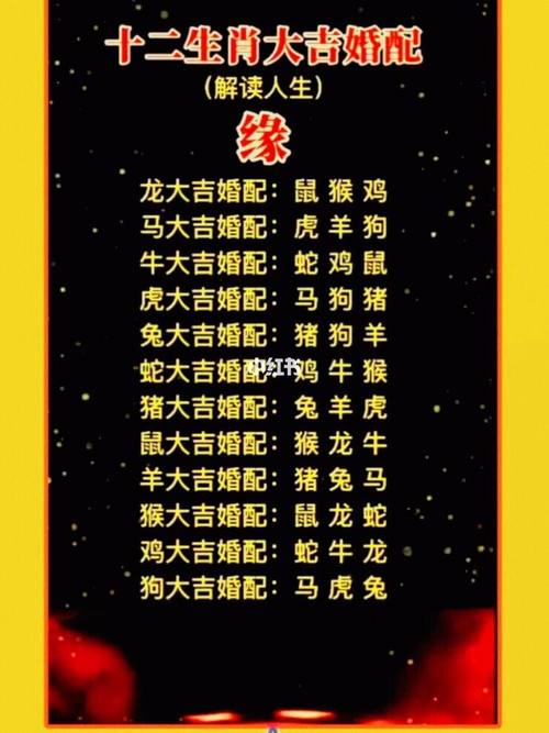 属马婚姻属相配对禁忌