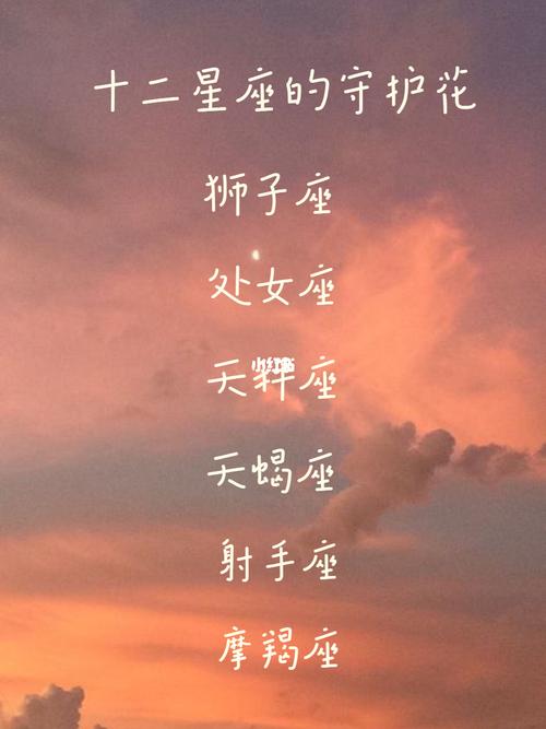 十二星座的守护花花语