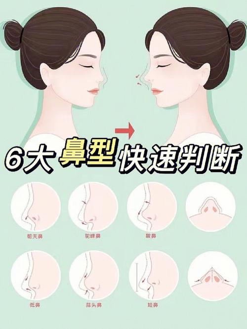 看看你是什么鼻型