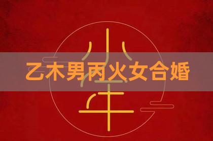 乙木和丙火合婚吗