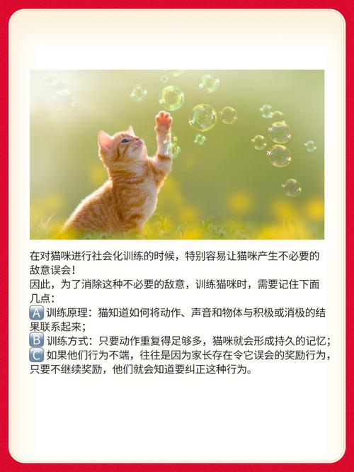 梦见被猫咬睾丸有什么含义