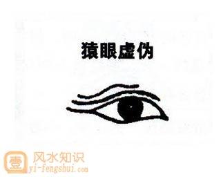 什么是猿眼