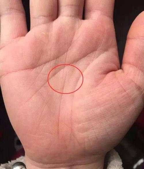 高智商手相是什么样的