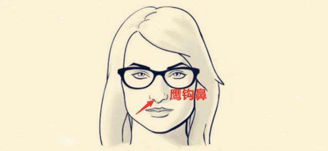 鹰嘴鼻标准照片