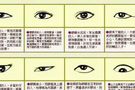 明星眼睛面相解析,谁的命最好