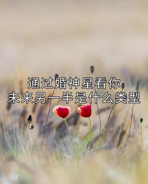 你的将来一半长啥样