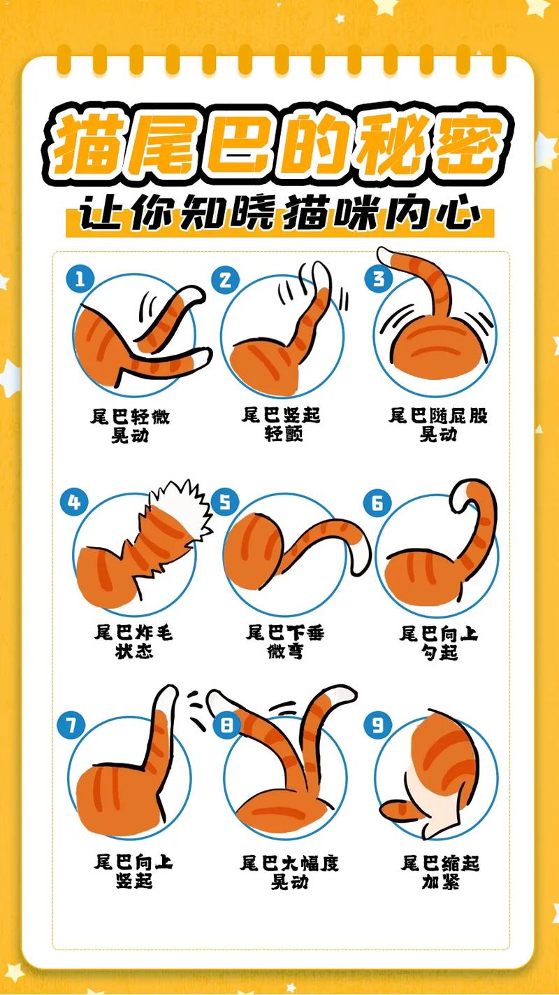 如何知道身上招东西了