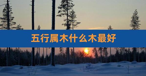 6种木命哪种木最好