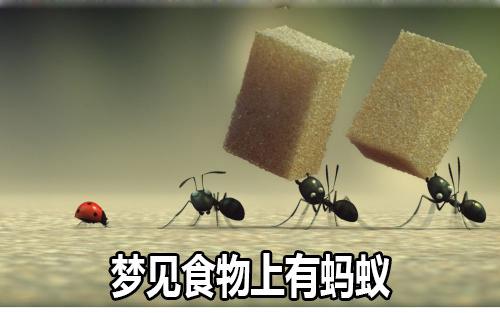 梦见食物上有蚂蚁周公解梦,梦见食物上有蚂蚁是什么意思?