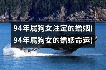 1994属狗女命运和婚姻