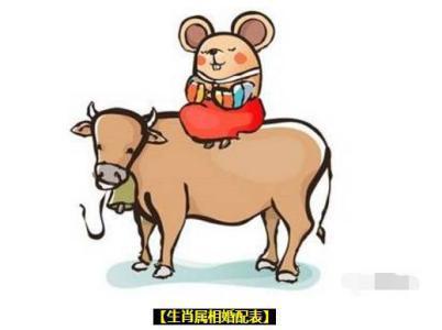 和鸡不配的属相