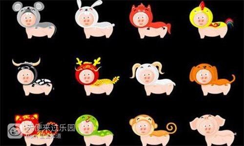 十二生肖谁长相奇葩让人不忍直视