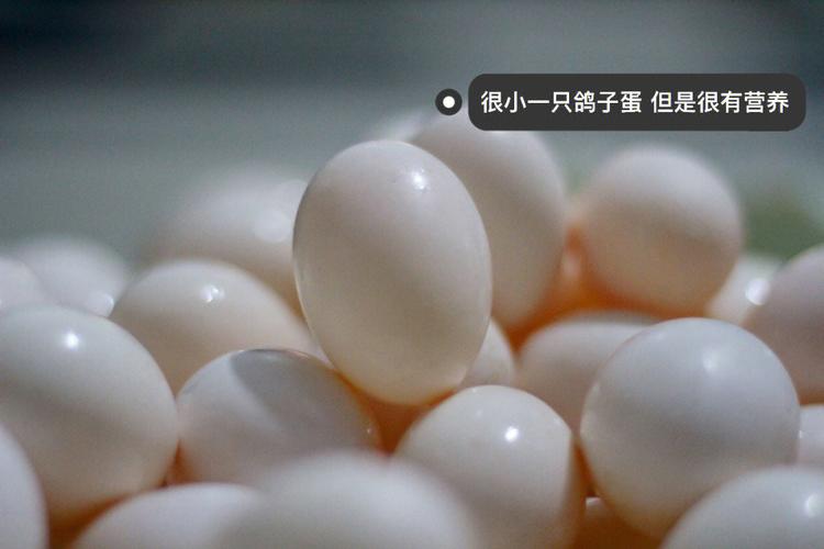梦到鸽子蛋孵出小鸽子预示着什么