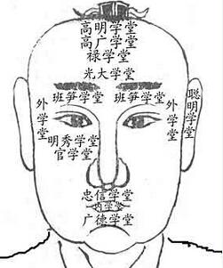 看相算命脸上长毛的说法