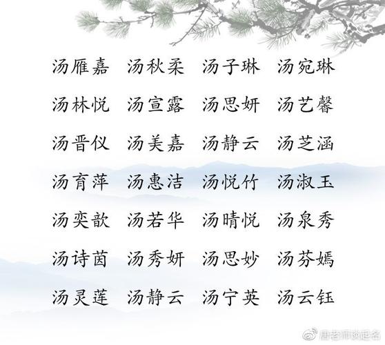 2023年闰二月二十出生汤姓男孩名字怎么取