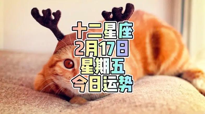 2017年金牛座运势如何