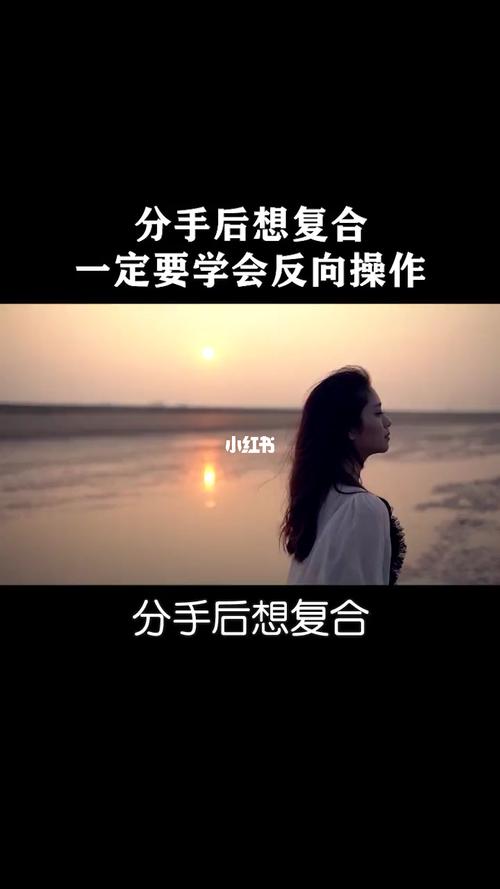 爱情分手又复合