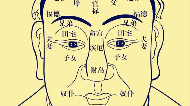 绝非池中之物的面相