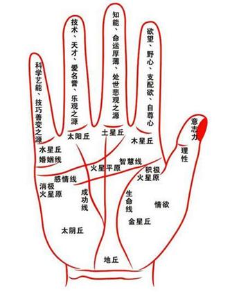 教你看手纹识手相,手相的各种纹路
