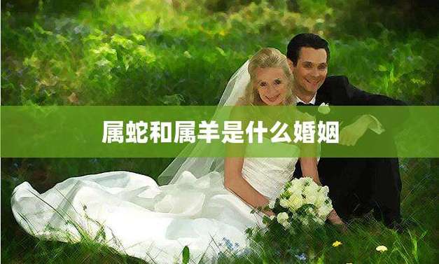 属羊和属蛇的婚配如何