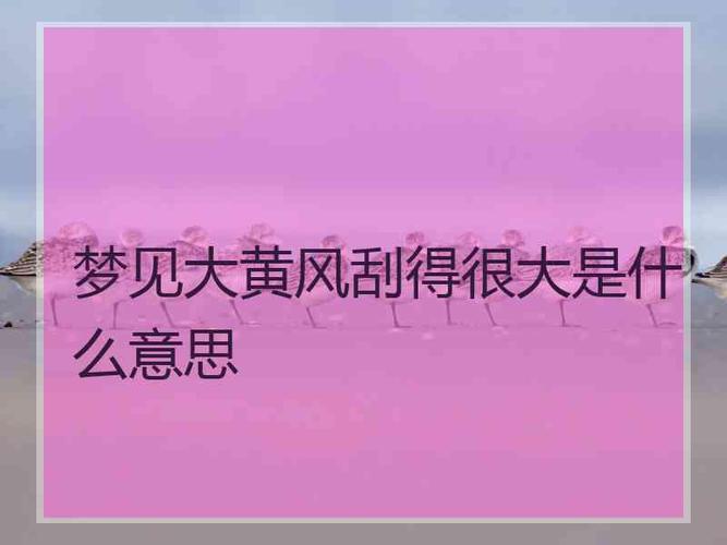梦见大黄周公解梦，梦见大黄是什么意思？
