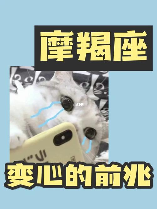 摩羯男变心的前兆