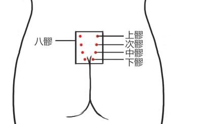 八髎穴位位置图和作用