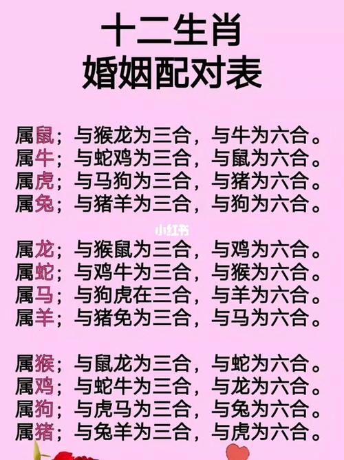 十二生肖的五行配对表
