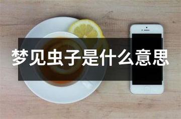 梦见小虫子是什么意思