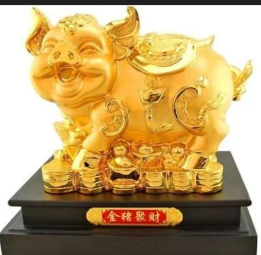 金命做什么行业比较旺