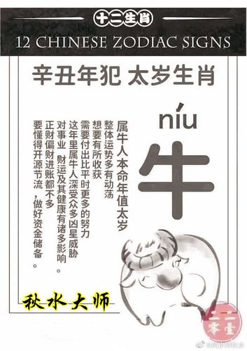 2021辛丑年犯太岁生肖破解,运势详情分析