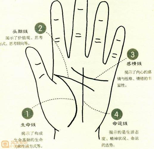 怎么看手相图解男