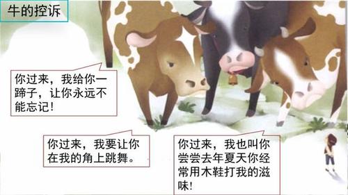 兔爸爸和鸡妈妈生牛宝宝好吗