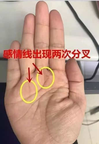 最容易移情别恋的人手相特征揭秘