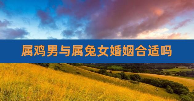 属兔女和属鸡男适合在一起吗