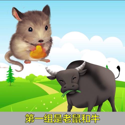 生肖鼠空闲时都会选择看什么类型的书籍