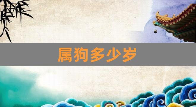 94属狗的哪年运势最差