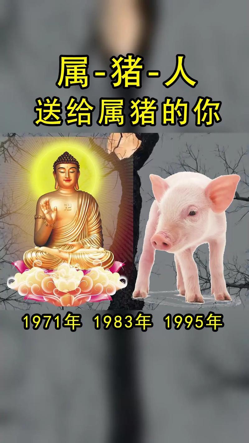属猪男怕什么的女人(图文)
