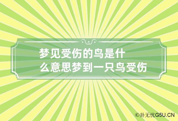 梦见鸟被击落 梦见被鸟攻击是什么意思