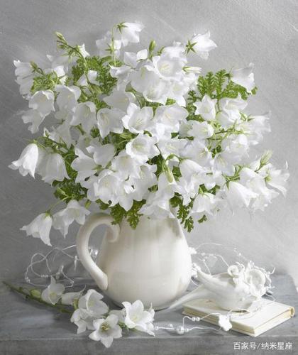 真正双子座幸运花