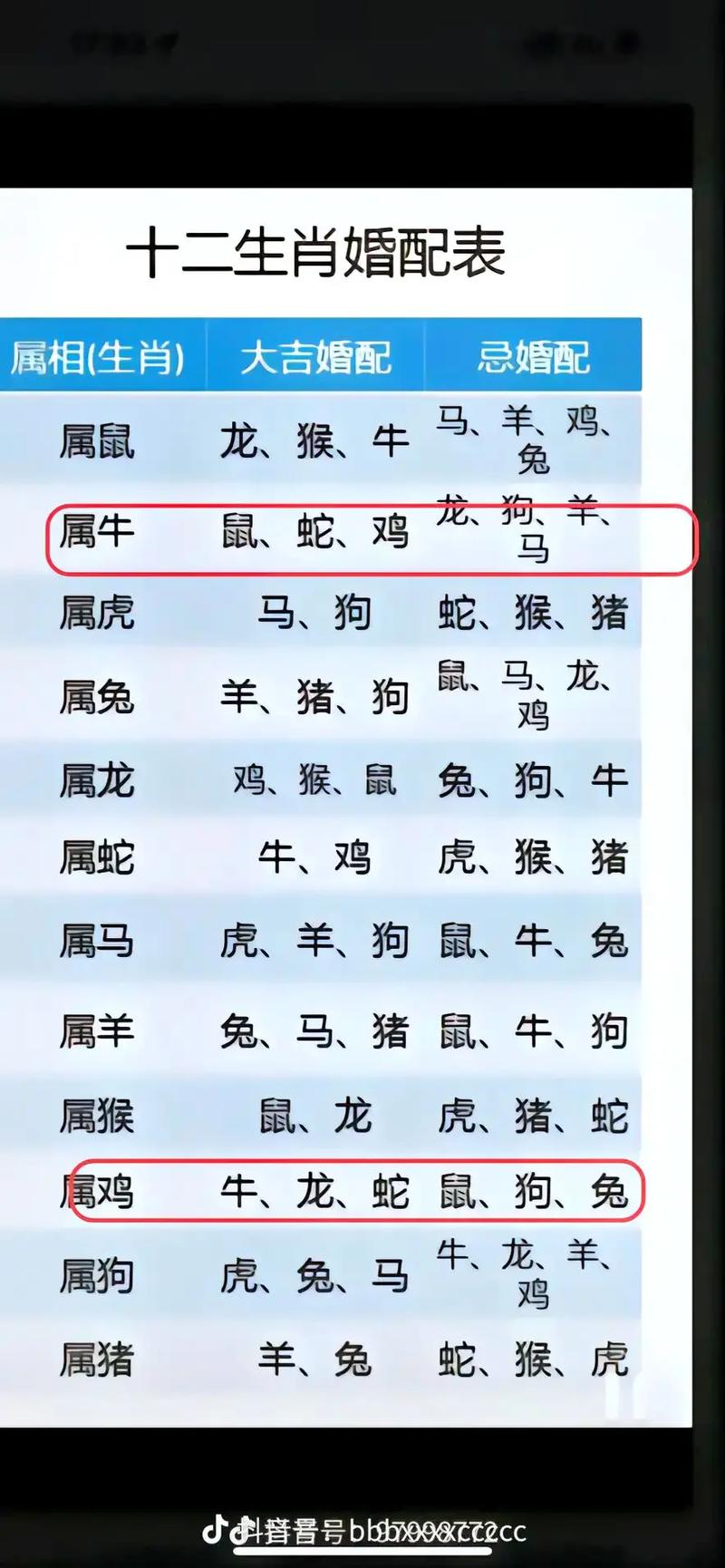 两个人属相合八字会不合吗?