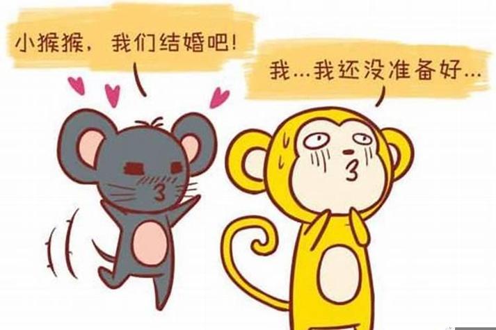 女鼠男猴配吗 女鼠男猴配吗婚姻好吗
