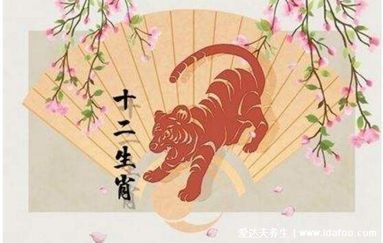 一生贵人多多,顺风顺水的生肖