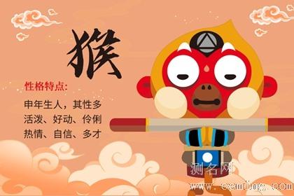 属猴人从事什么工作最能激发灵感