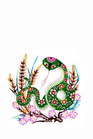 杨清华-十二生肖运势119