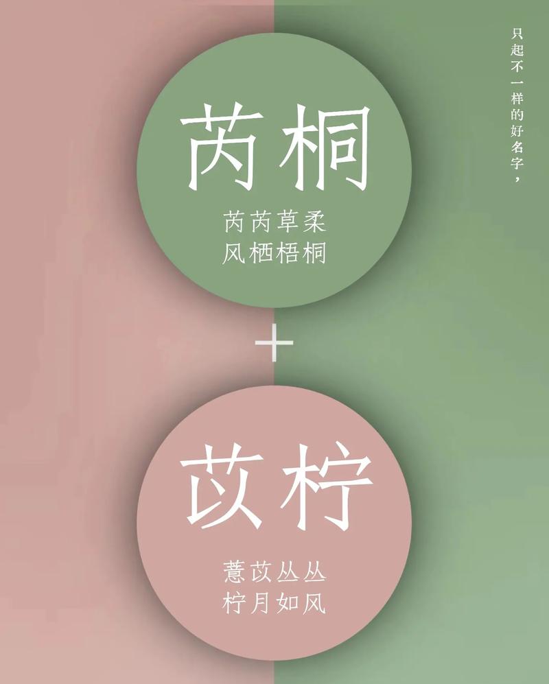 女孩名字草字的有哪些