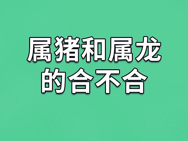 属龙男与属猪女合得来吗